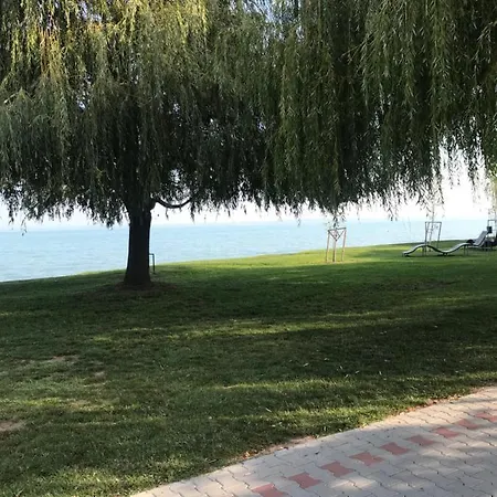 Adi * Siófok